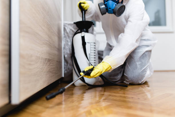 Professional Pest Control in Leisure City, FL