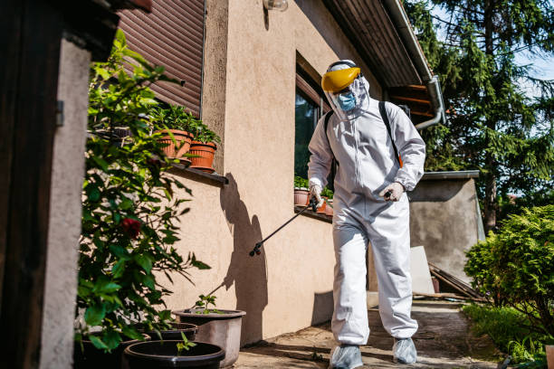 Best Affordable Pest Control Services  in Leisure City, FL