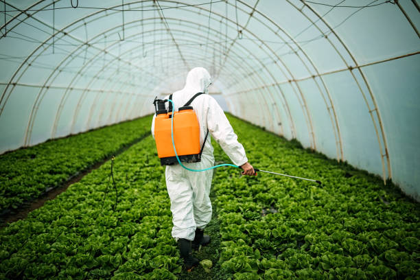 Pest Control Cost in Leisure City, FL