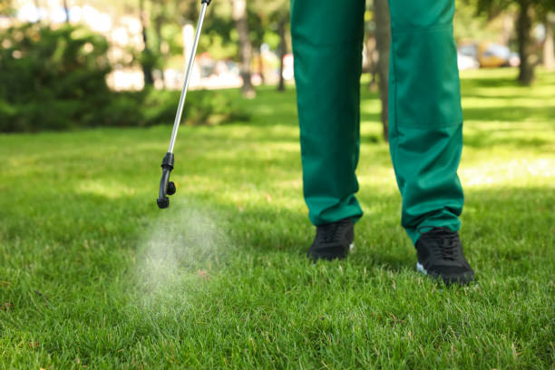 Best Pest Control for Restaurants  in Leisure City, FL