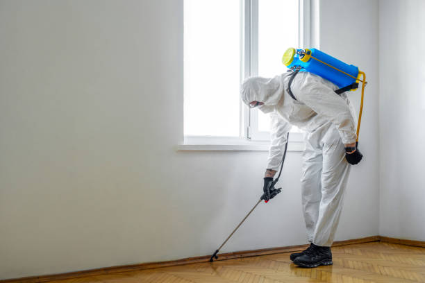 Best Pest Inspection Near Me  in Leisure City, FL