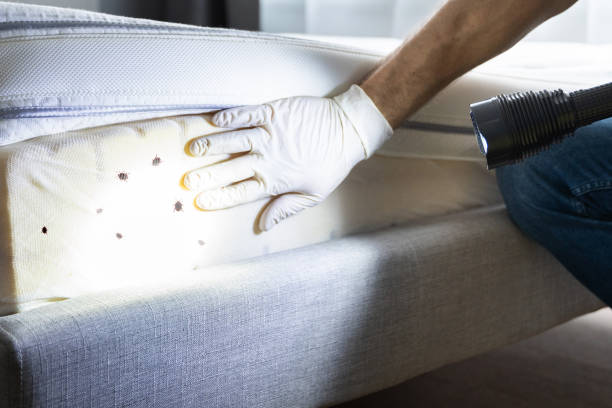 Best Wildlife Control Services  in Leisure City, FL